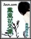 凤凰花又开封面