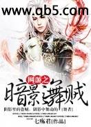 网游之暗影舞贼封面