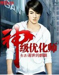 神级优化师封面