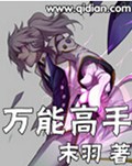 万能高手封面