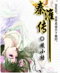 秦淮传封面