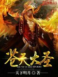 苍天大圣封面