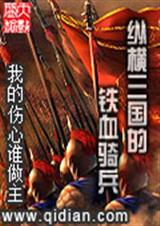纵横三国的铁血骑兵封面