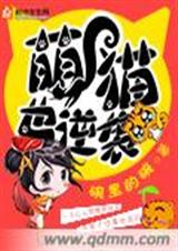 萌猫也逆袭封面