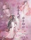 左手夫君右手相公-云若初蕊封面