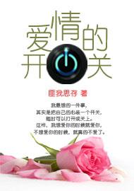 爱情的开关封面