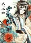 少年丞相封面
