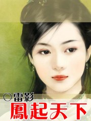 凤起天下封面
