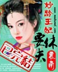 妙龄王妃要休夫封面