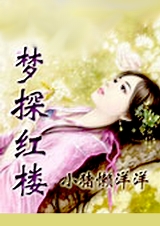 (红楼梦同人)梦探红楼封面
