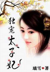独宠太子妃封面