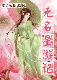 无名星游记封面