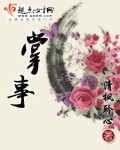 穿越之掌事封面