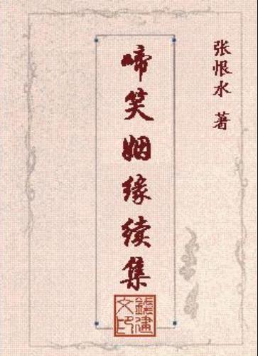 啼笑姻缘续集封面
