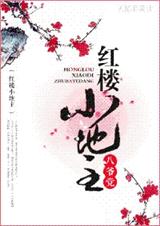 红楼小地主封面