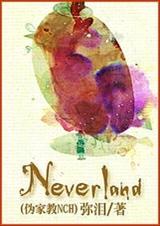 (伪家教NCH同人)Neverland封面