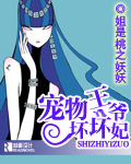 宠物王爷坏坏妃封面