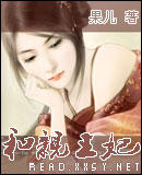 和亲王妃封面