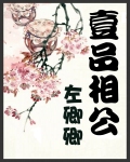 一品相公 完结封面