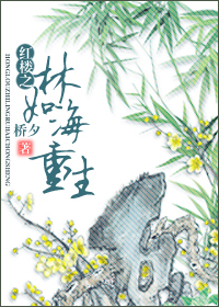 红楼同人--林如海重生封面
