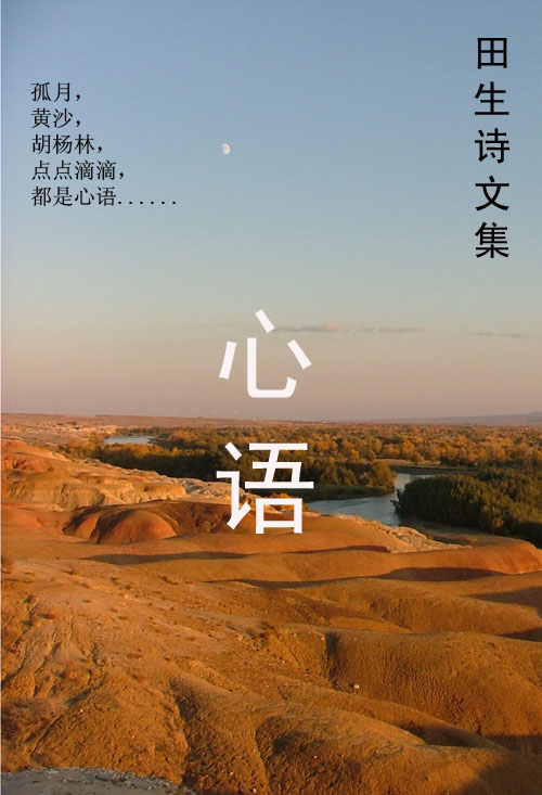 心语田生诗文封面