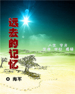 远去的记忆封面