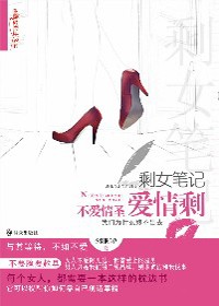 剩女笔记:不爱情圣,爱情剩封面