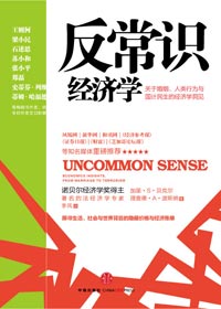 社会、政府与个人之间的经济关联:反常识经济学封面