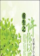 重生之许你以爱封面