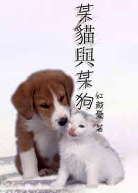 某貓與某狗封面
