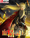 魔兽异界血精灵王子封面