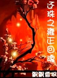 还珠之雍正回魂封面