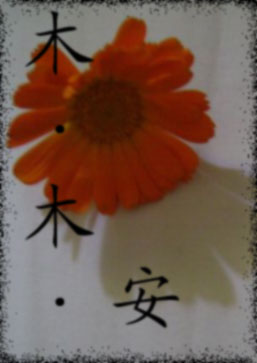 木·木·安封面