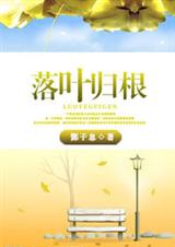 落叶归根封面