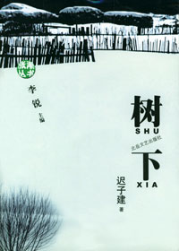 燕北小镇的悲情往事:树下封面