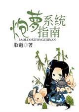 炮萝系统指南封面