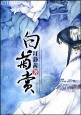 白菊赏封面