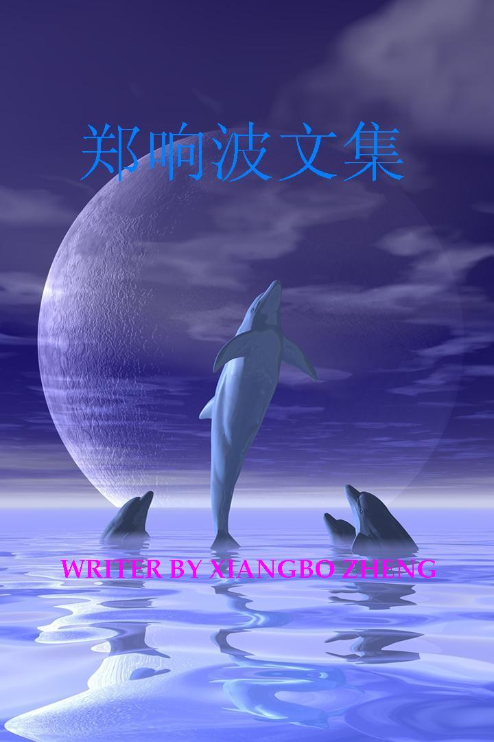 郑响波文集封面
