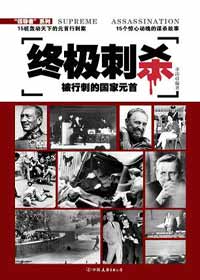 终极刺杀封面