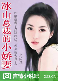 冰山总裁的小娇妻封面