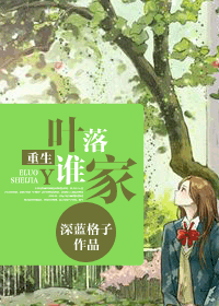 重生叶落谁家封面