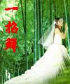一招鲜封面