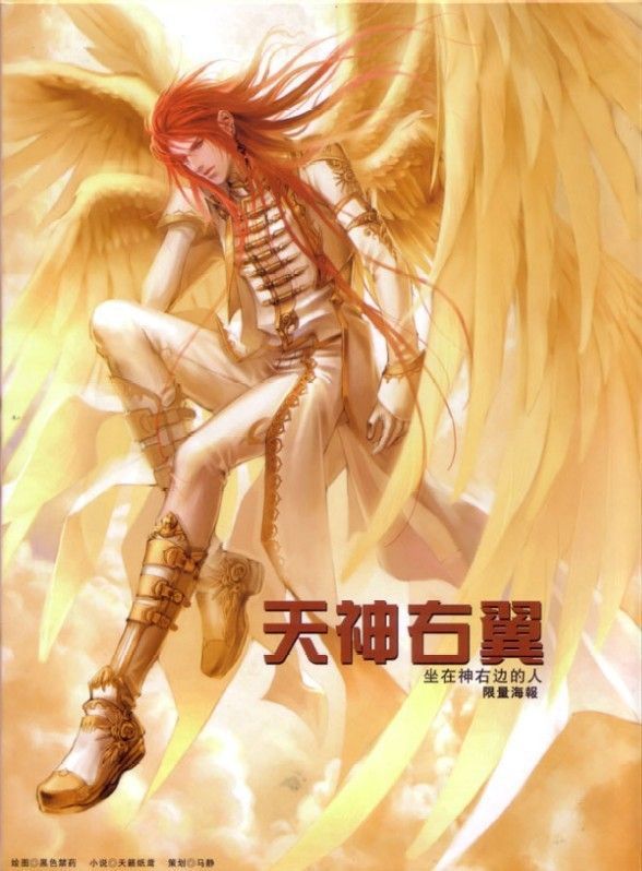 天神右翼1神谴(耽美)封面
