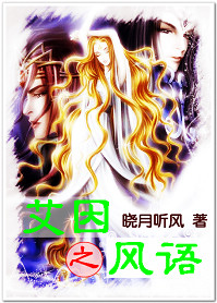 艾因之风语封面