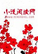 丫头别太二了封面