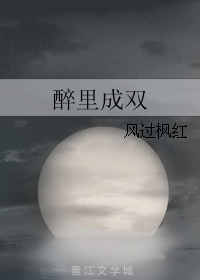 醉里成双封面