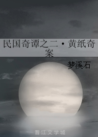 民国奇谭之二·黄纸奇案封面