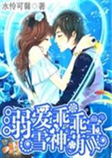 独爱乖乖雪神萌宝贝封面