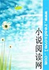 复仇天使的泡沫之恋封面