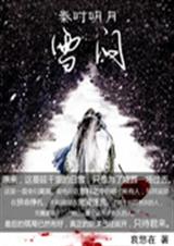 秦时明月之雪问封面